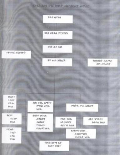 Organizational Structure of the A.A Diosces